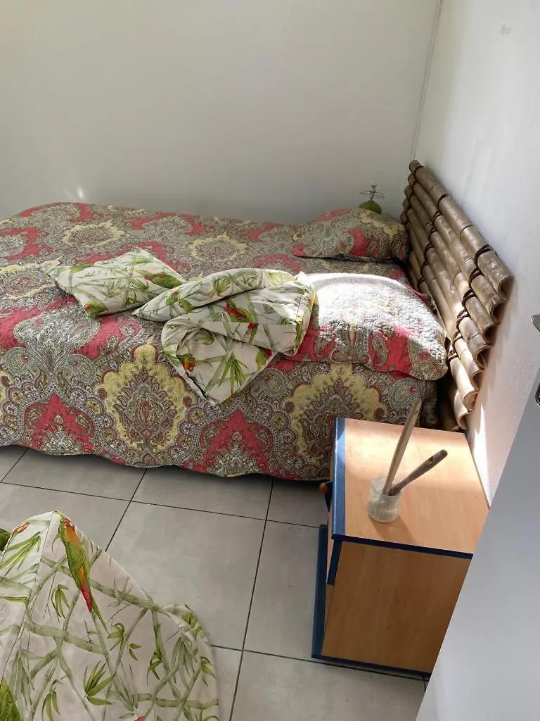 Coquillages Des Iles Et Ti-Sicrier Apartment Le Moule Guadeloupe