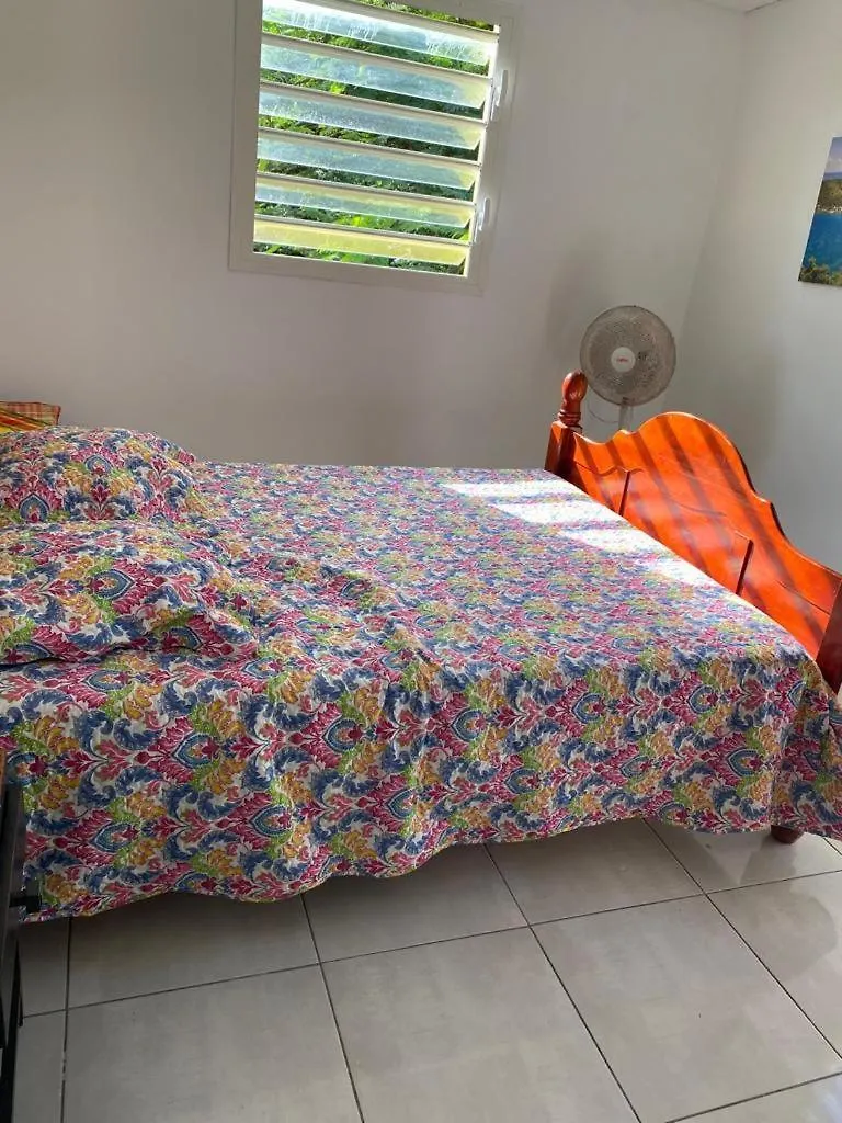 Coquillages Des Iles Et Ti-Sicrier Apartment Le Moule